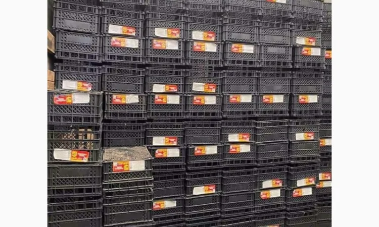 Ящики пластикові - фото № 4