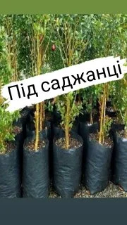 Мішечки поліетиленові під розсаду/ саджанці - фото № 2