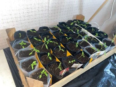 Мішечки поліетиленові під розсаду/ саджанці - фото № 14