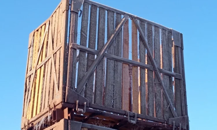 Контейнери овощные - фото № 4