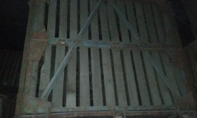 Контейнери овощные - фото № 5