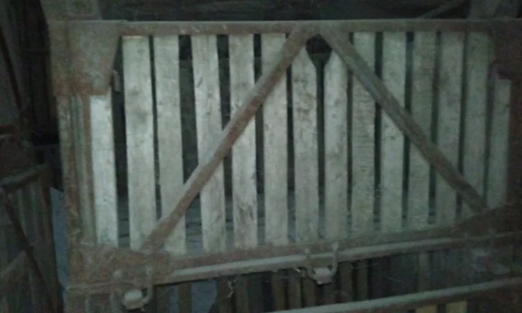 Контейнери овощные - фото № 9