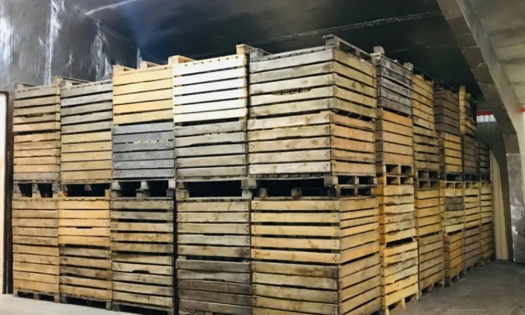 Продаж контейнерів яблучного типу - фото № 1