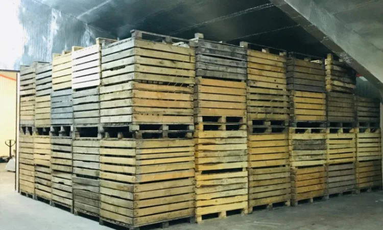 Продаж контейнерів яблучного типу - фото № 2