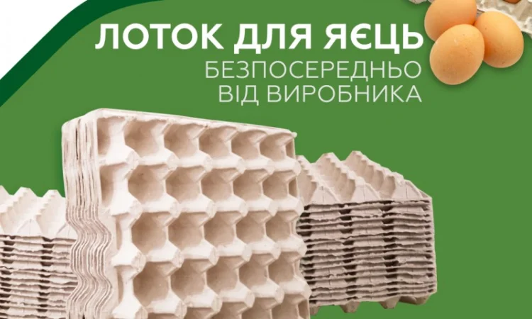 Від виробника: Лоток прокладка для 30 шт. яєць для автоматичного та ручного фасування - фото № 1