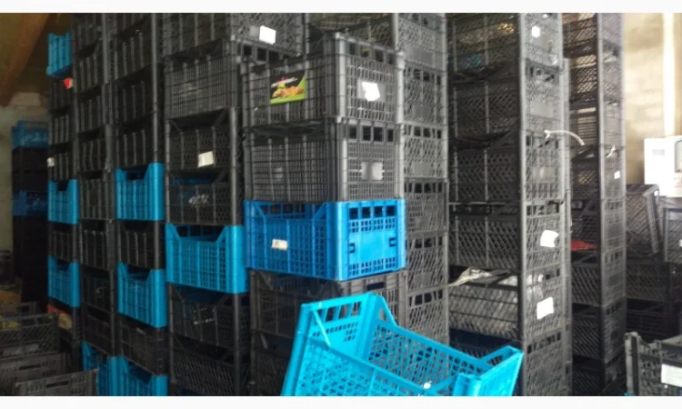 Продам пластиковые ящики - фото № 1