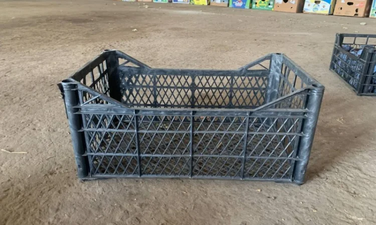 Ящик пластмассовый 50*30*22 см - фото № 2