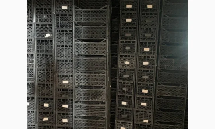 Ящик пластмассовый 50*30*22 см - фото № 3