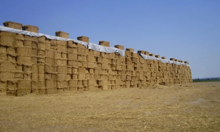 Тенты для хранения зерна 15 х 20 - фото № 1