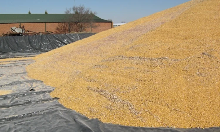 Тенты для хранения зерна 4 х 6 м - фото № 1