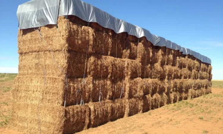 Тенты для сена 10 х 15 - водоотталкивающие - фото № 1