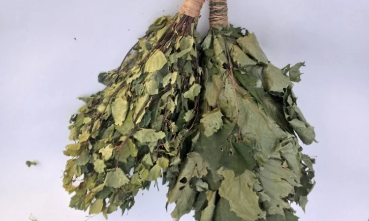 Віники для бані Дуб, береза Липа Евкаліпт - фото № 1