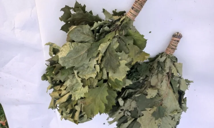 Віники для бані Дуб, береза Липа Евкаліпт - фото № 2