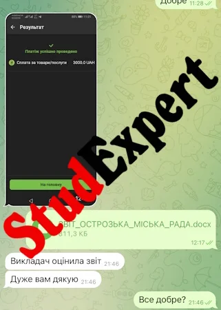 Купить мотивационное письмо в Украине - фото № 11