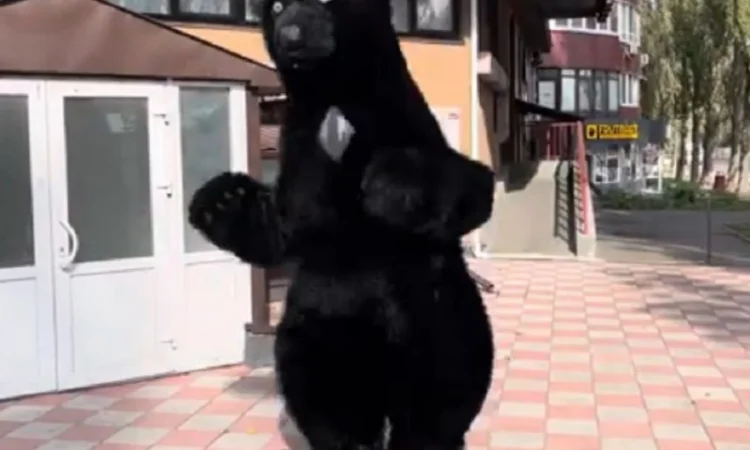 Ростовий костюм Пес Патрон - фото № 3