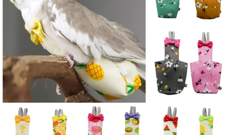 Памперс для попугаев – забота о вашем питомце - фото № 1