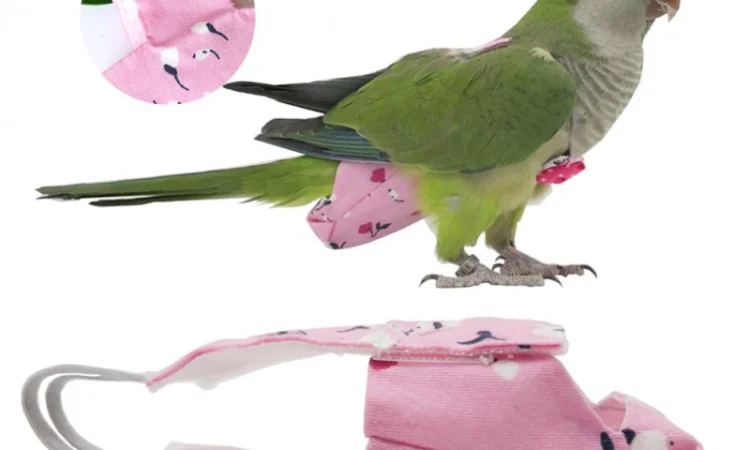 Памперс для попугаев – забота о вашем питомце - фото № 3