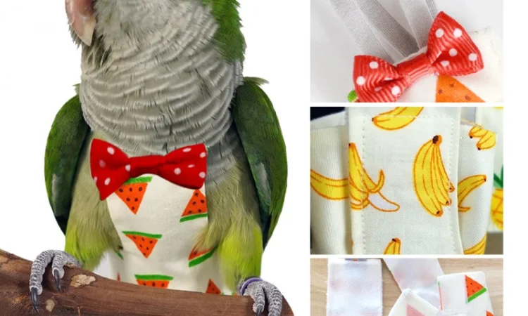 Памперс для попугаев – забота о вашем питомце - фото № 5