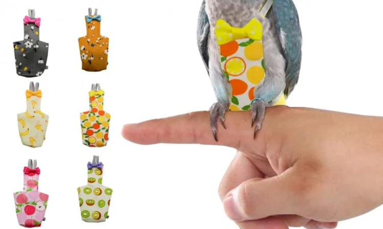 Памперс для попугаев – забота о вашем питомце - фото № 6