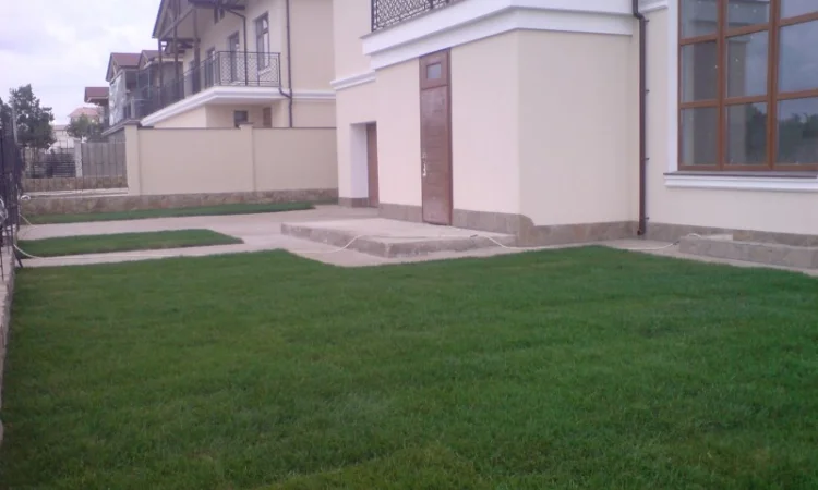 Озеленение территории под ключ в г. Винница - фото № 1