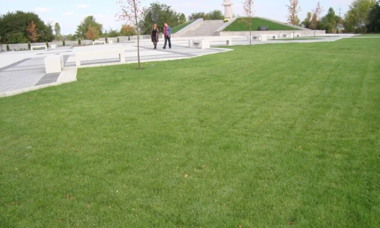 Озеленение территории под ключ в г. Винница - фото № 3