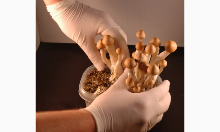 Медичні рукавички для безпечної роботи - фото № 2