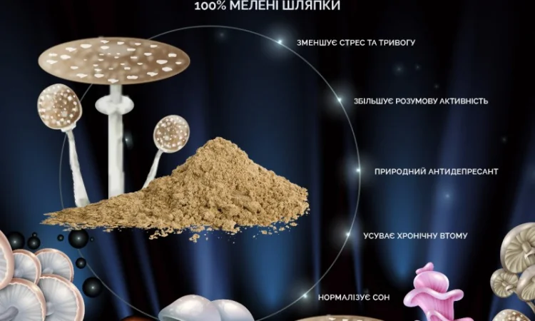 Мелені капелюшки Королівського Мухомора 50 грам - фото № 3