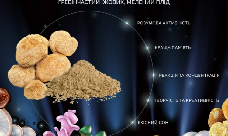 Молотый гриб Їжовик Гребінчастий 50 грамм - фото № 3