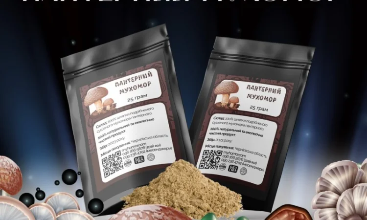 Мухомор Пантерний мелені шляпки, 25 грам - фото № 2