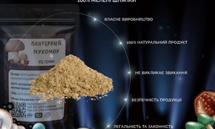 Мухомор Пантерний мелені шляпки, 25 грам - фото № 4