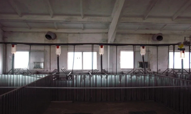 Оренда корівника та приміщення для відгодівлі телят - фото № 2