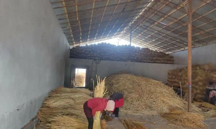 Веник сорго оптом за вигідною ціною - фото № 1