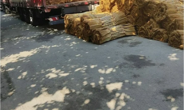 Веник сорго оптом за вигідною ціною - фото № 4