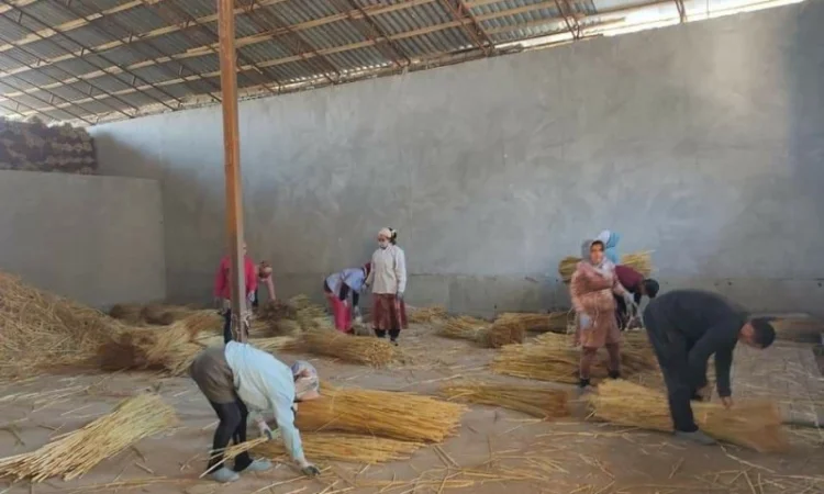 Веник сорго оптом за вигідною ціною - фото № 6