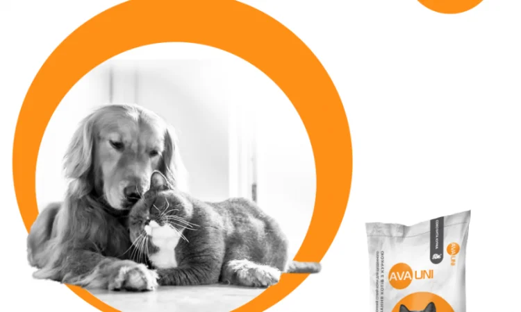 Щоденний сухий корм AVA UNI з куркою для дорослих котів - фото № 6
