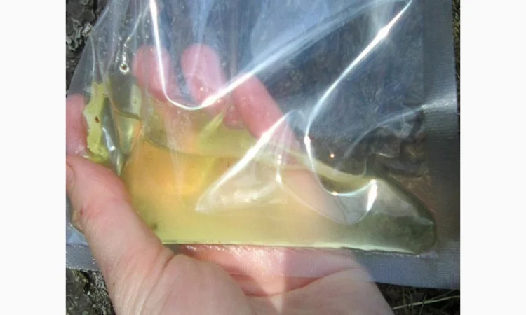 Живиця смола - фото № 4