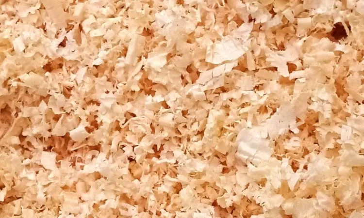 Опилки, стружка. Сосна - фото № 2