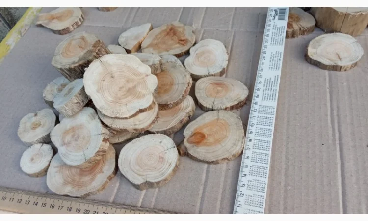 Круглый спил для пано можжевельник - фото № 9