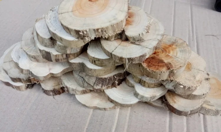 Круглый спил для пано можжевельник - фото № 6