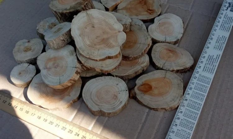 Круглый спил для пано можжевельник - фото № 4