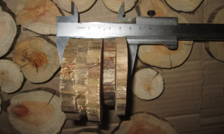 Круглый спил для пано можжевельник - фото № 17