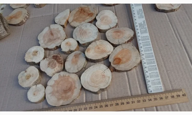 Круглый спил для пано можжевельник - фото № 16