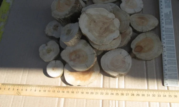 Круглый спил для пано можжевельник - фото № 14