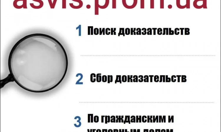 Расследование для защиты прав человека - фото № 8