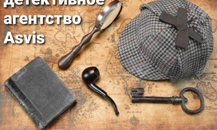 Расследование для защиты прав человека - фото № 19