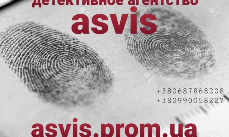 Расследование для защиты прав человека - фото № 17