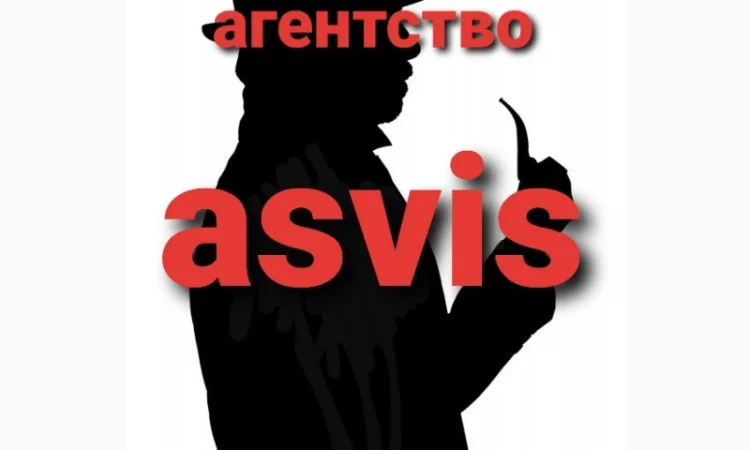 Расследование для защиты прав человека - фото № 16