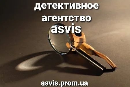 Расследование для защиты прав человека - фото № 15