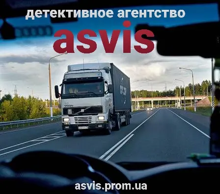 Детективное агентство Asvis - фото № 1