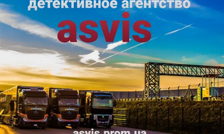 Детективное агентство Asvis - фото № 20